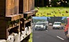 French motorway closed after hives fall out of lorry releasing bees - Vimarsana News
