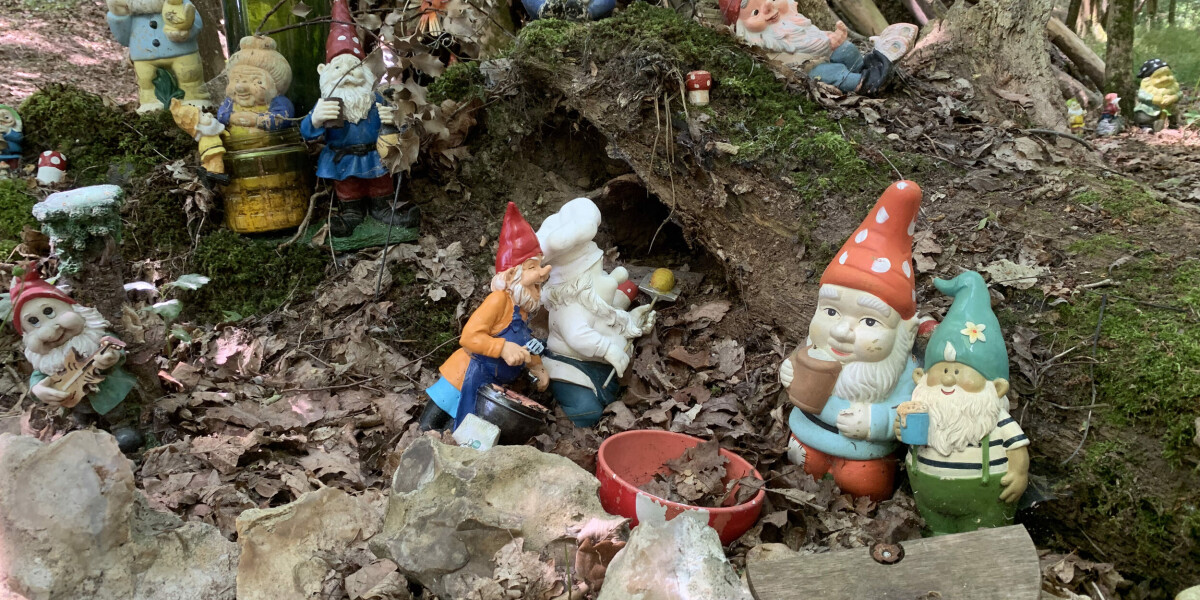 Mystery of french forest transformed into a gnome village