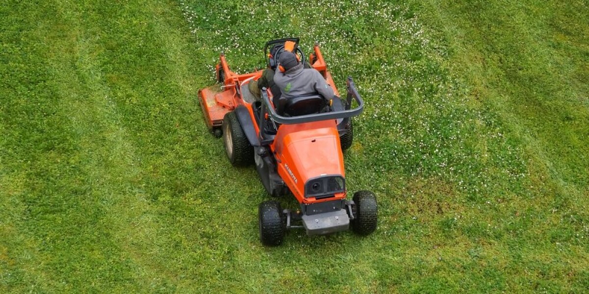 Gardening, diy: what you can and cannot do on a bank holiday in france