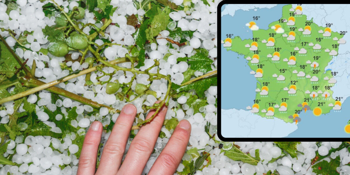 Weather: violent hail wipes out wine production in south-west france