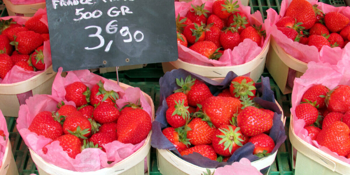 French strawberries 25% cheaper as 2024 sees bumper crop