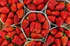 A view of French strawberries being sold at a market