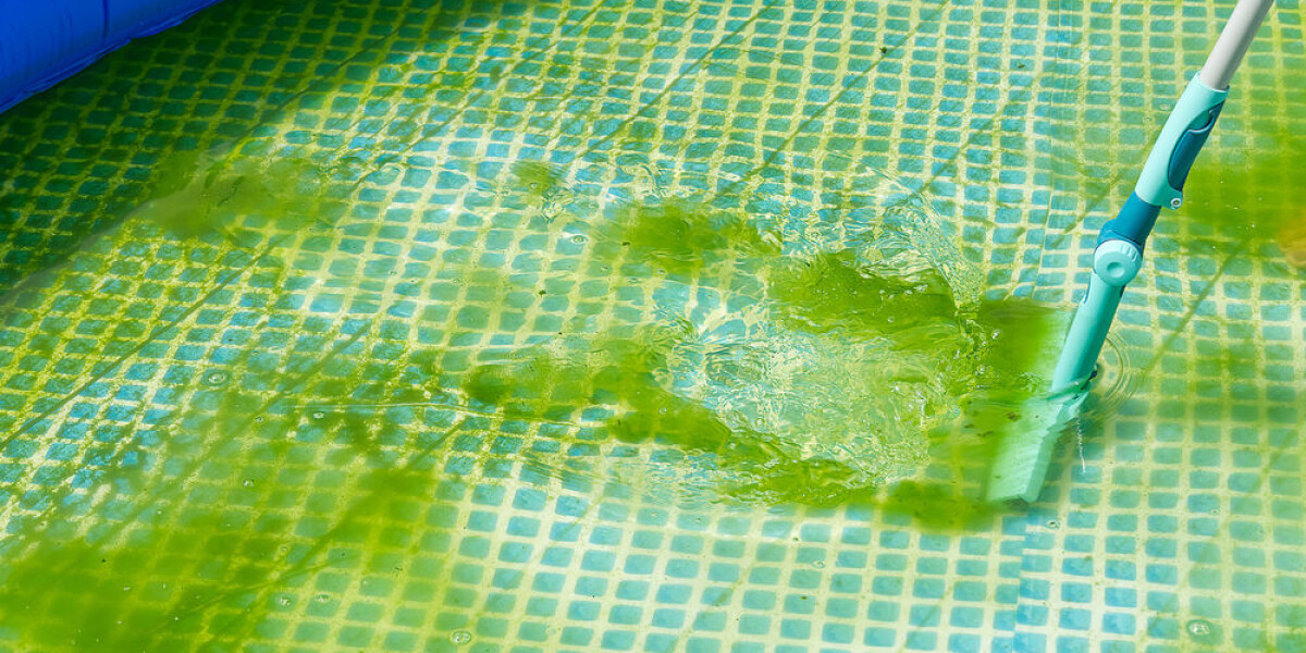 Pool owners and drivers in south france: saharan sand and algae alerts