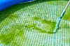 Algae in an inflatable swimming pool in summer in France