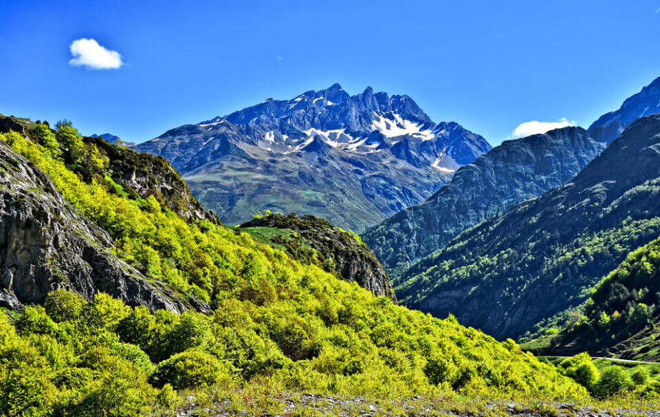 Gennady Stetsenko/Shutterstock