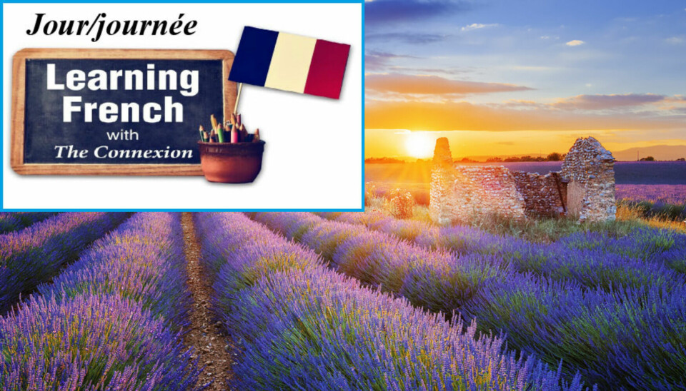 Field of lavender in the south of France with inset image of the difference between jour and journée in French