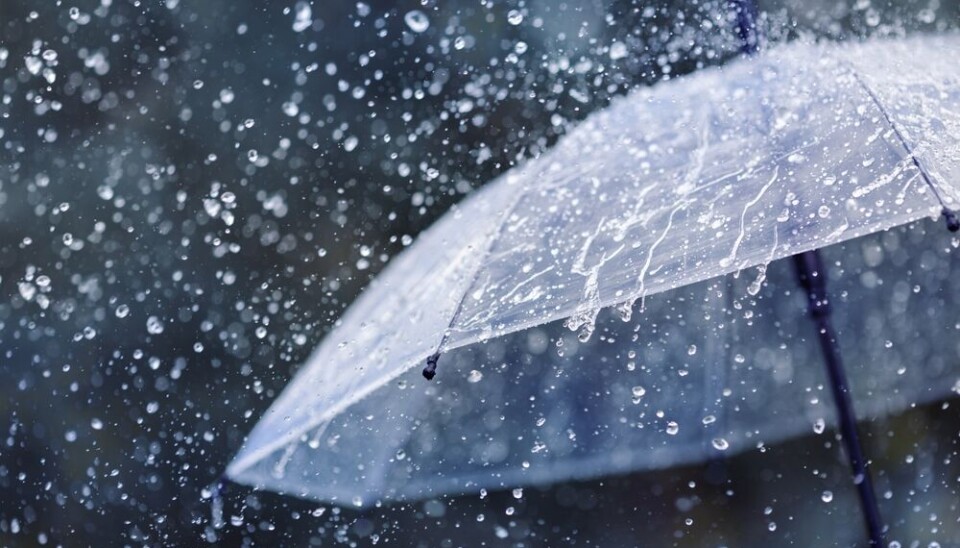 Julia Sudnitskaya/Shutterstock Umbrella in rain