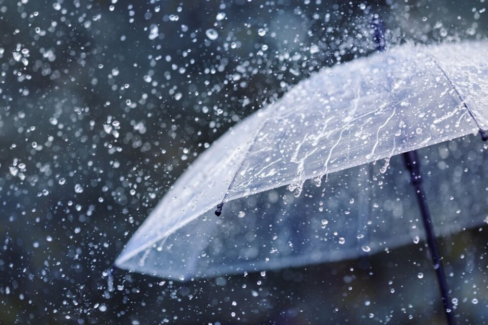 Umbrella in rain