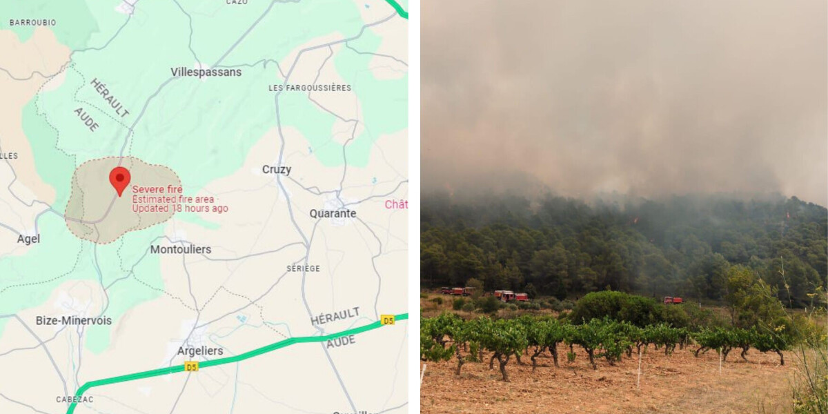 Forest fire destroys over 40 hectares of land in south of france