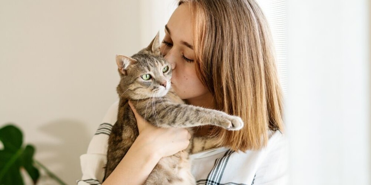 Six french expressions around cats to use in everyday conversations