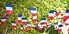 French flags at village party