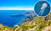 Split image of the Calanques national park and a jellyfish