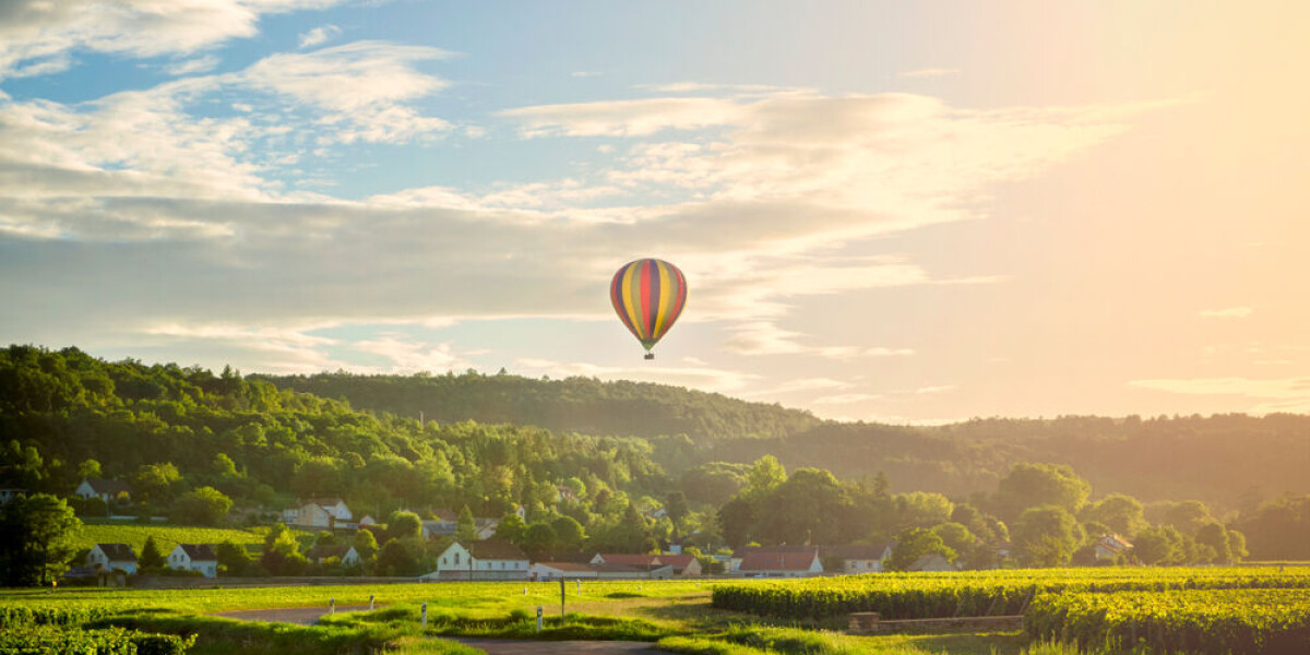 Man shoots at hot air balloon flying near his french house