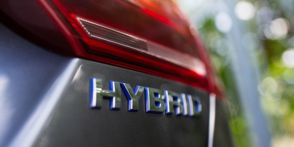 Which electric cars are popular in France (and which are not)