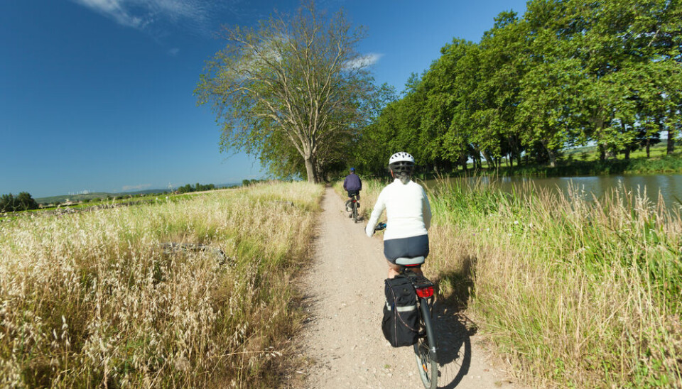 paul prescott/Shutterstock