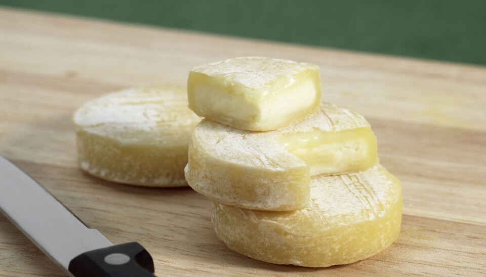 slowmotiongli/Shutterstock