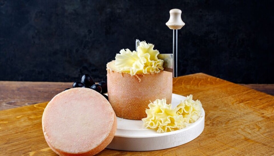 hlphoto/Shutterstock