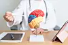Doctor,With,Human,Brain,Anatomy,Model,And,Tablet.,World,Brain
