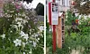 split image of a municipal slow bed and a bug hotel in France