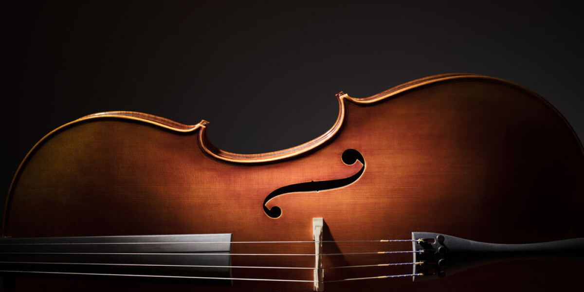‘like losing a limb’: french musician’s appeal for stolen cello