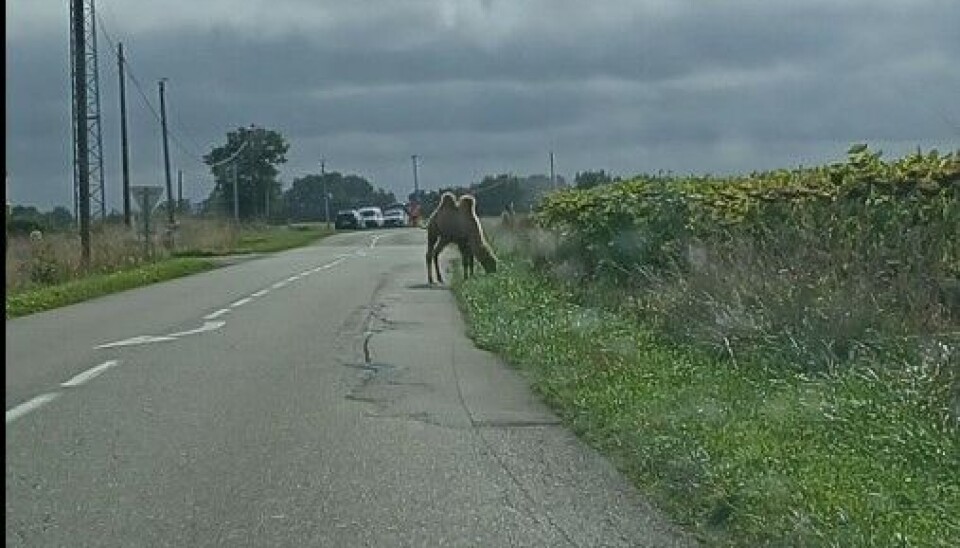 Screen capture from Facebook / TU SAIS QUE TU VIENS DE LA MAYENNE QUAND…
