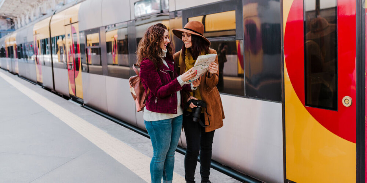 Engineer creates a map showing every single train route in france