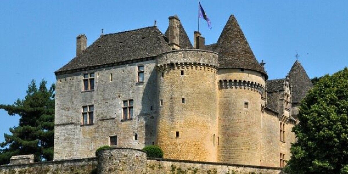 Row over mobile phone mast near listed french chateau