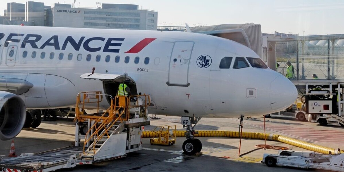 Can You Fly to France with Your Pet in the Cabin? Airline Policies Explained Can You Fly to France with Your Pet in the Cabin? Airline Policies Explained