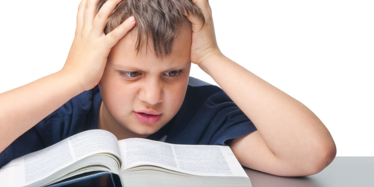 What are the longest words in the french language?