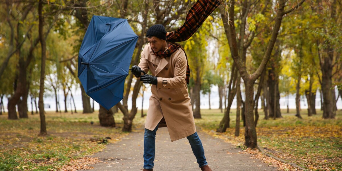 Venting Expression Learning French: être dans le vent and other wind expressions