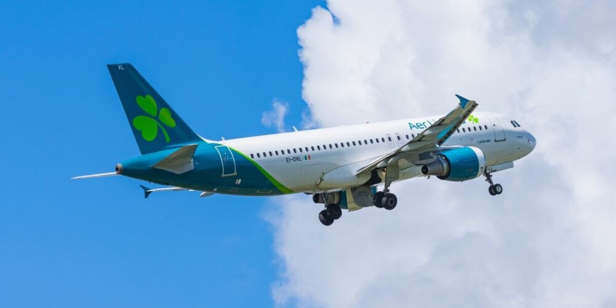 Bordeaux-ireland flights: aer lingus to replace ryanair