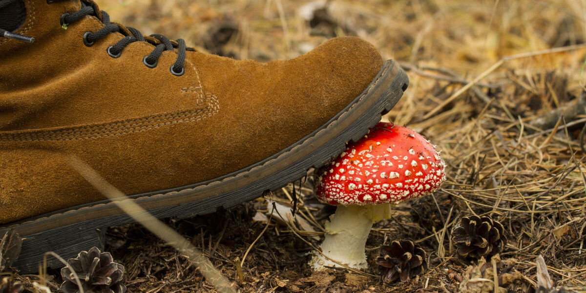 Learning french: when and why do we say appuyer sur le champignon?
