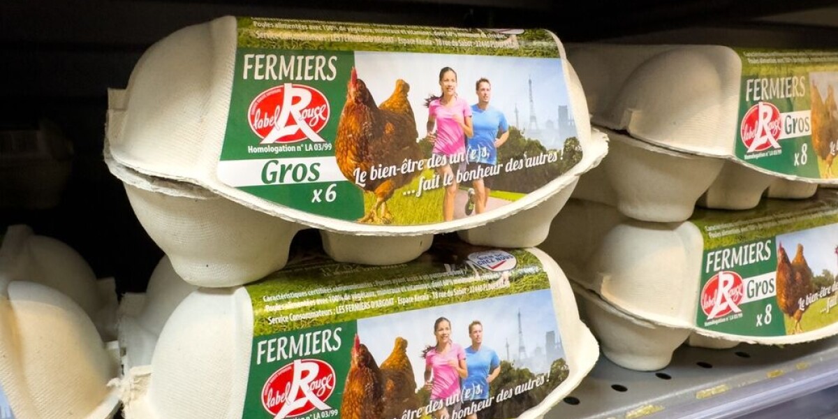 Egg prices: why france is more protected from the high rises seen in us