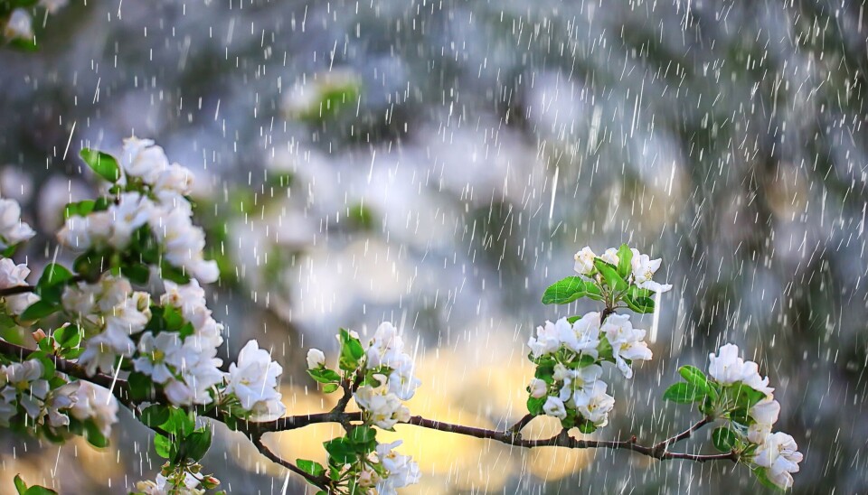 France Weather Alert: Rain and Storms to End Warm Spell This Weekend