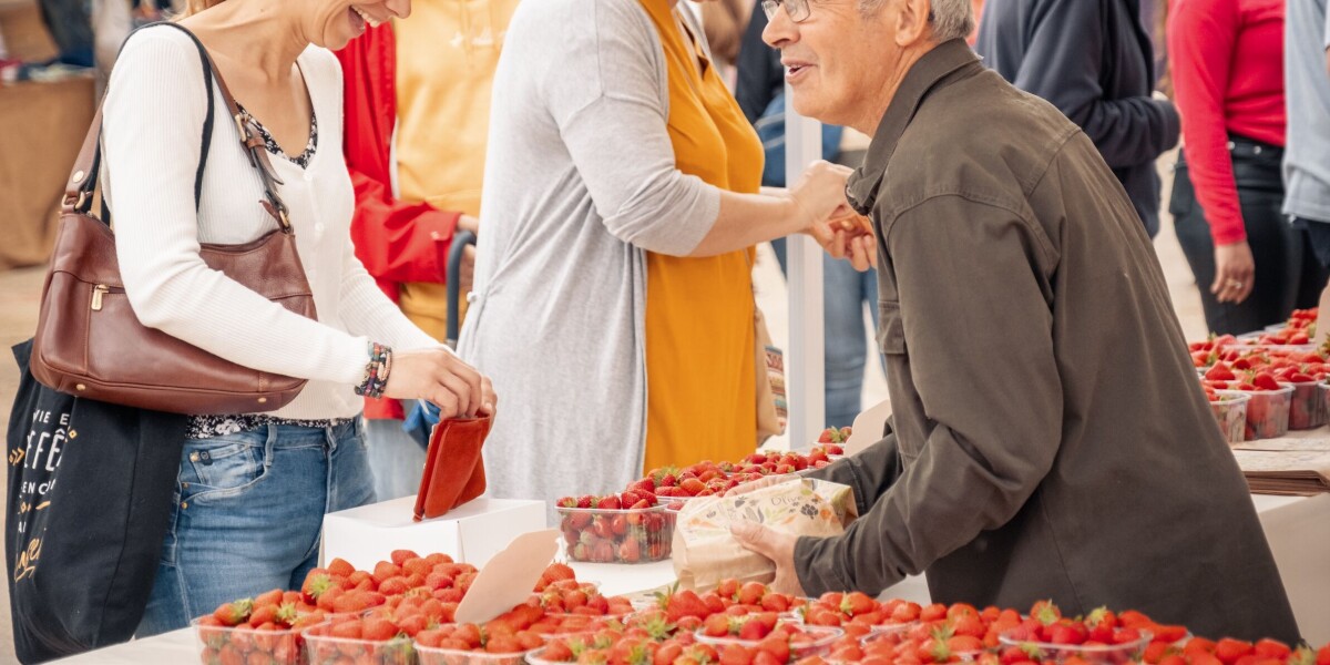 How to buy, eat and store the best french strawberries