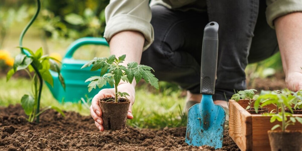 What you should do to your garden in france in spring