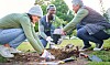 Community plants a tree
