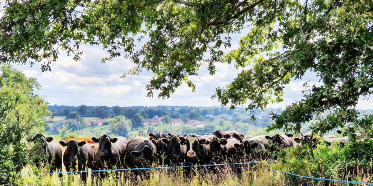 Meet the farming family who moved from Devon to France