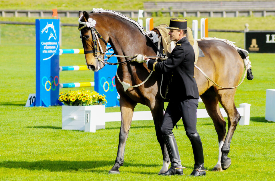 Serge Mouraret / Alamy Stock Pho