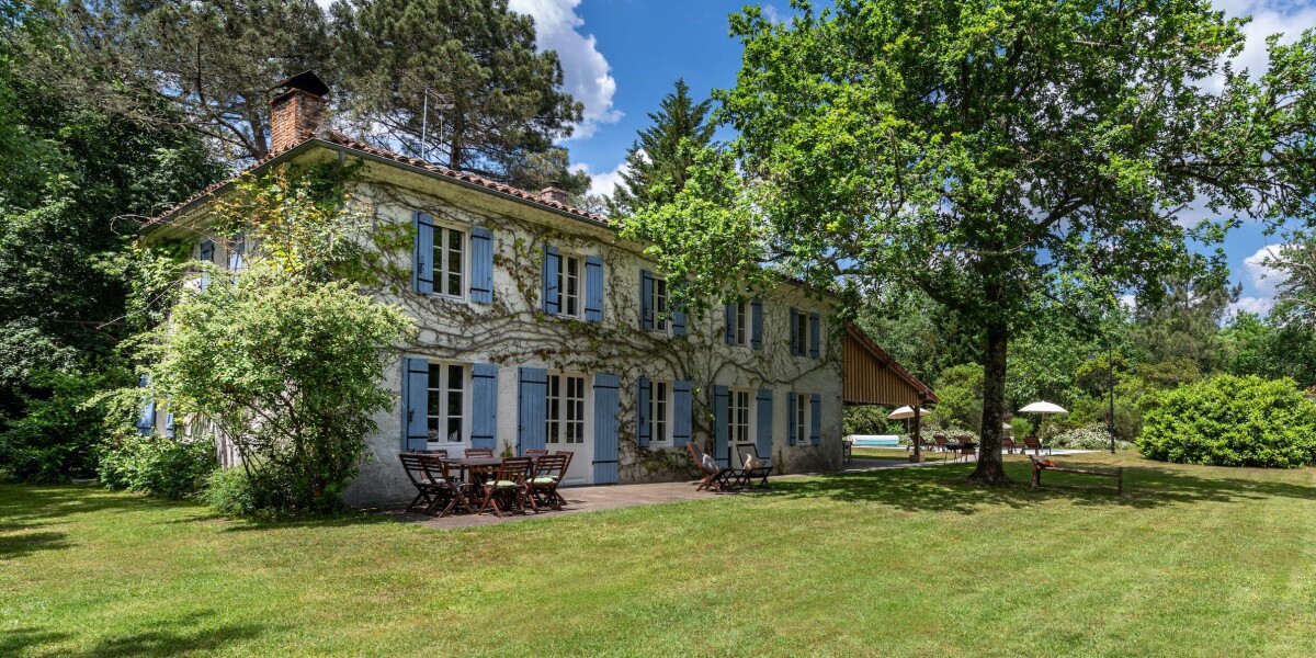 Our French gîte: The peace of Landes is perfect escape from tourist traps