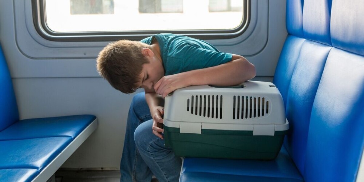Are dogs allowed on public transport in France or are they banned?