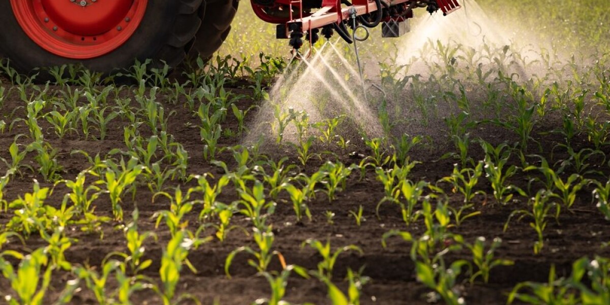 French MPs respond to outcry over re-legalisation of pesticide linked to bee deaths