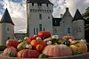Squash vegetables stacked in front of a castle