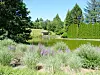 A lake surrounded by trees and plants