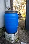 Plastic,Barrel,Sits,Under,Gutter,On,Backyard,Of,House,,Collecting