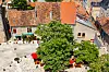 View of a square and large tree in Chauvigny