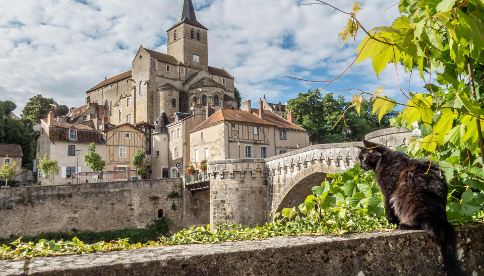 Discover Vienne s Hidden Gems Chatellerault Chauvigny And Montmorillon discover-vienne-s-hidden-gems-chatellerault-chauvigny-and-montmorillon