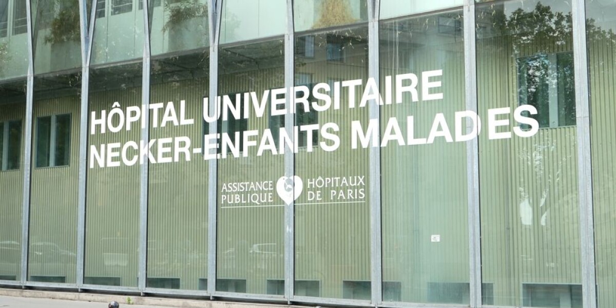 Briton in critical condition after being stabbed in Paris