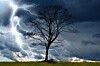 How France chooses names for storms - and why the public is now involved