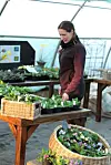 A woman touches plants on a bench